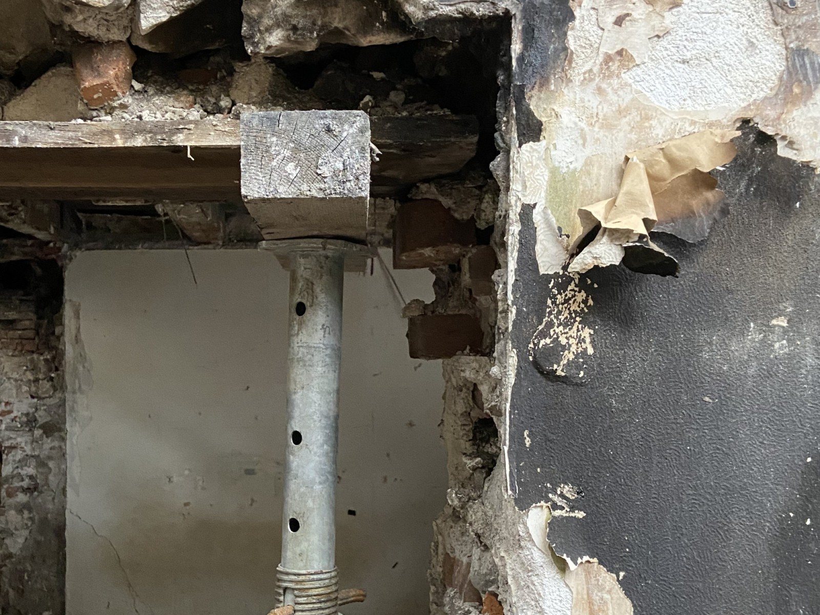 Baueingabe für den Rheinhof