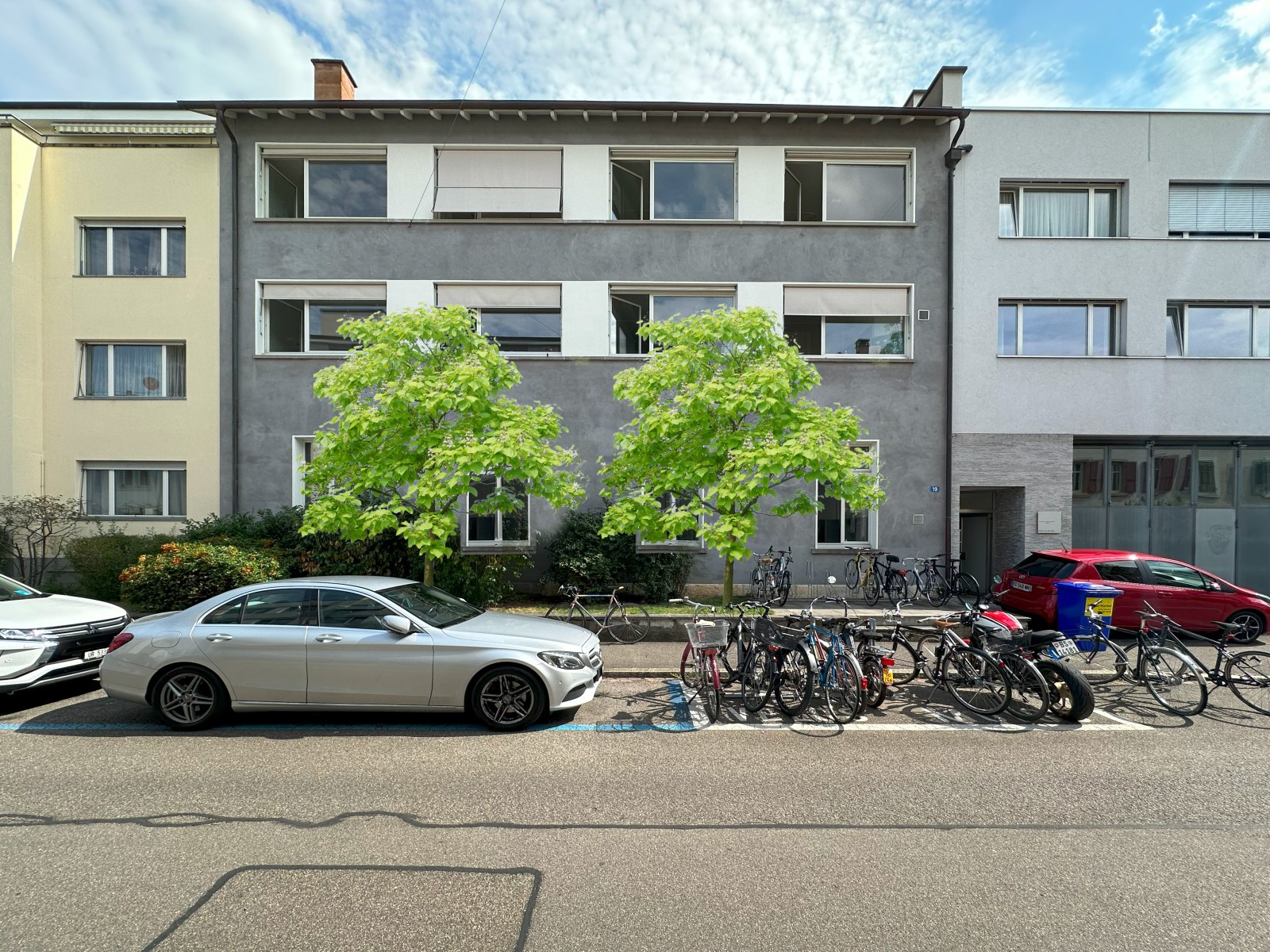 Bäume für die Blauenstrasse