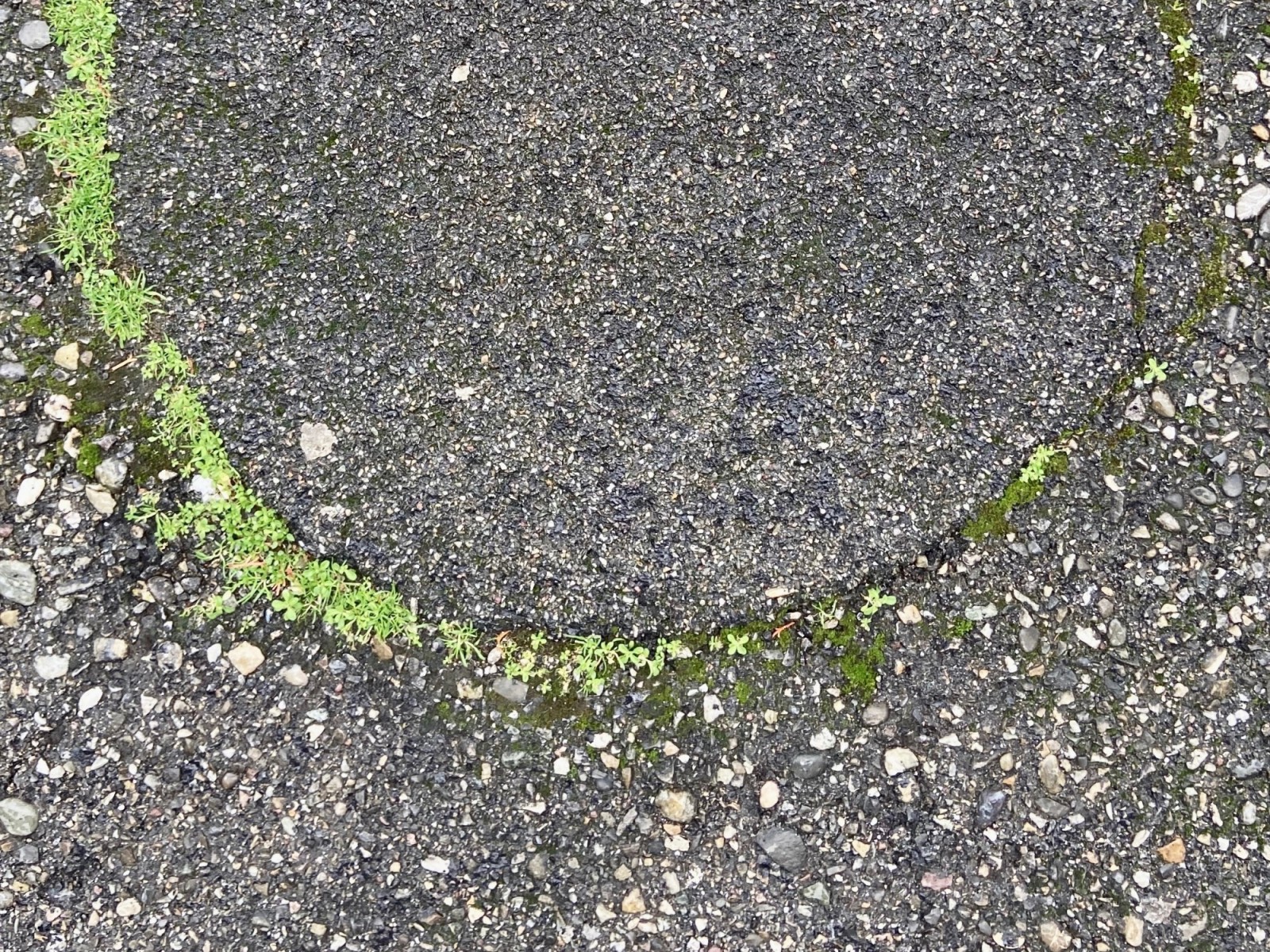 Ins Blaue ...I: «Nachhaltig?», Jakob Schneider