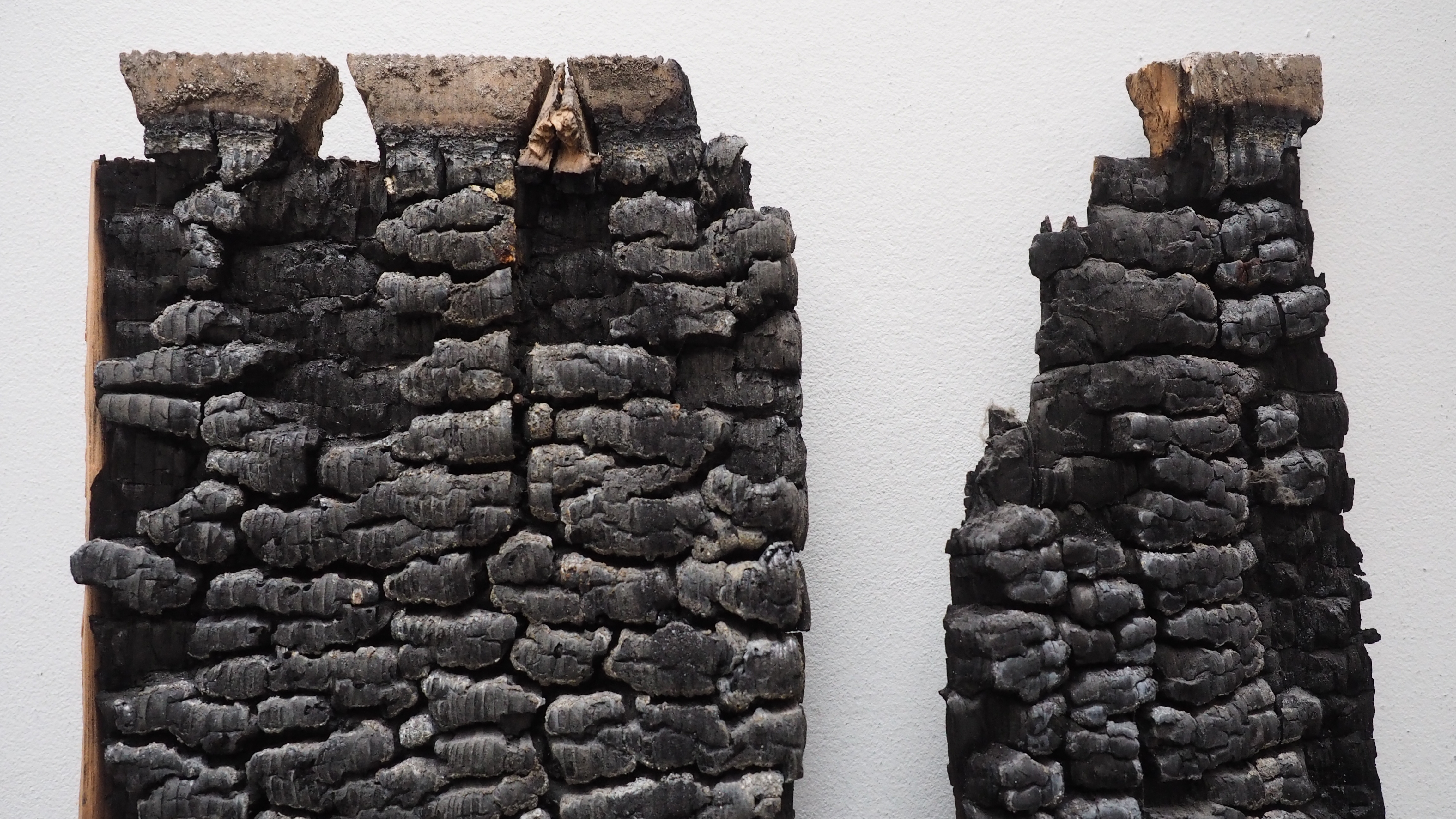 Rheinhof 2.0 Bauentscheid liegt vor!