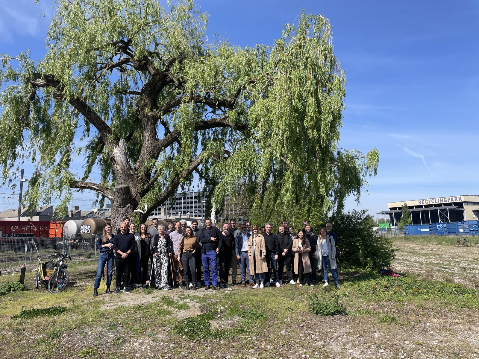 a team, a tree and a great opportunity ... Volta