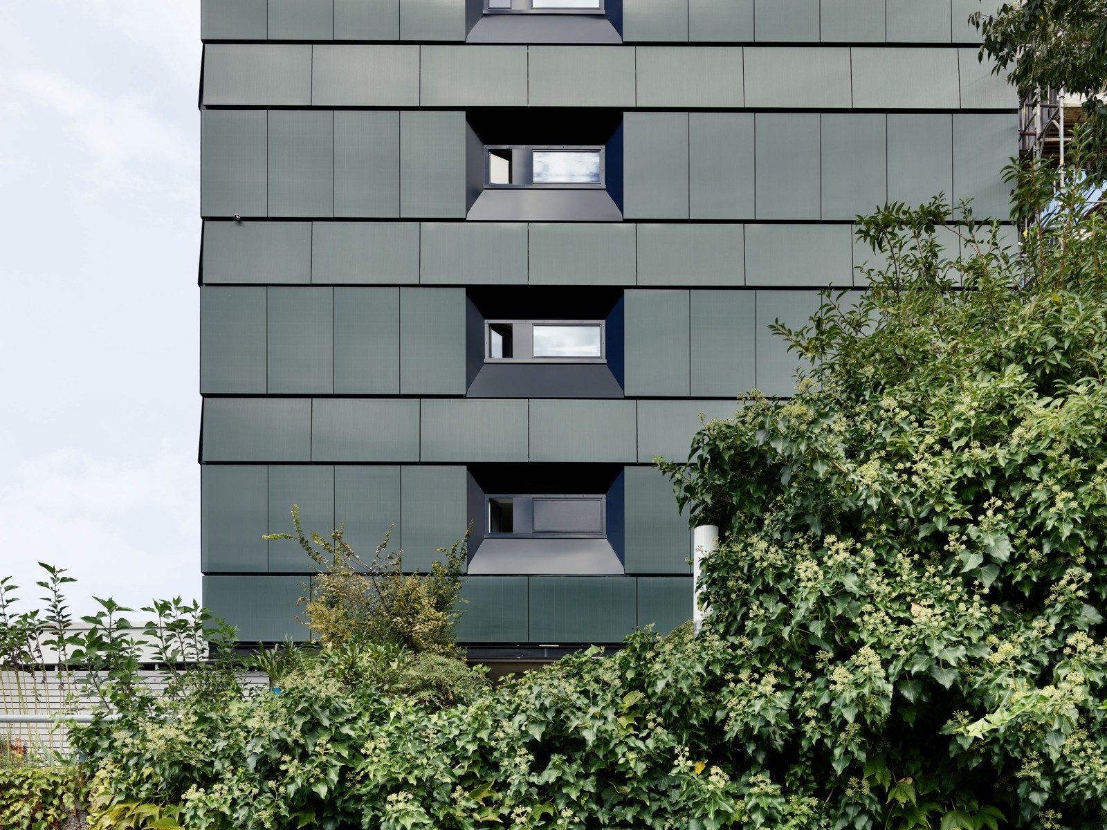 Klimapfad konkret – Best Practice zur Mittagspause: Umbau und Sanierung Oberwilerstrasse, Basel