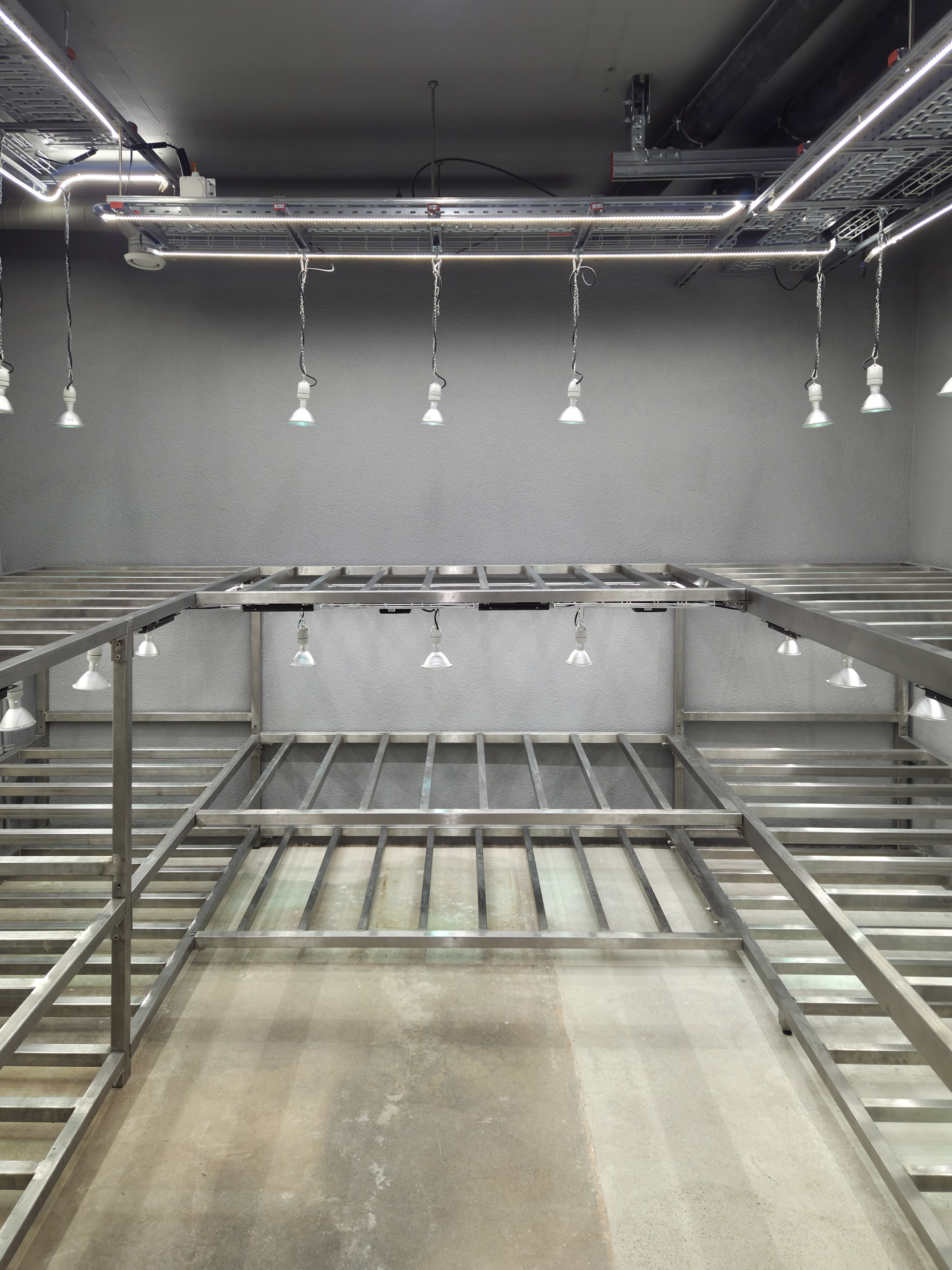 Einbau einer Aufzuchtsstation  für Boulenger-Flachschildkröten im Gamgoahaus, Zolli Basel